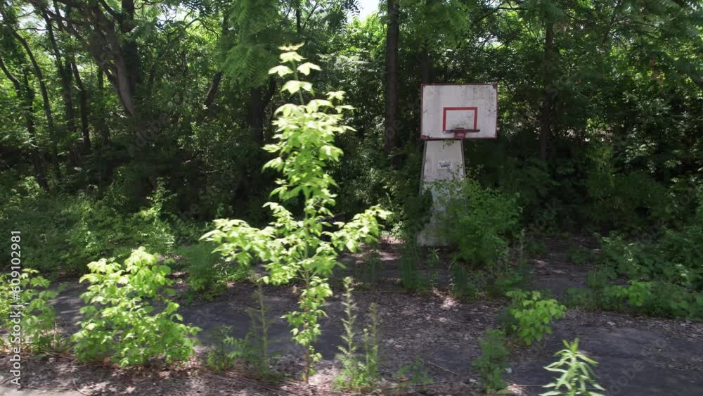Abandoned basketball hoop near Midwestern downtown center and urban city behind vacant building lot with overgrown plants, leaves, and nature Abandoned basketball hoop near Midwestern downtown center and urban city behind vacant building lot with overgrown plants, leaves, and nature
