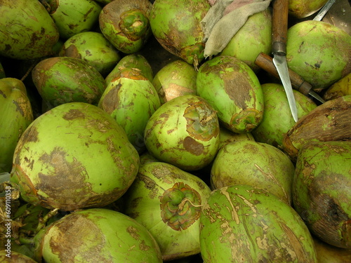 Photography coconut fruit close up