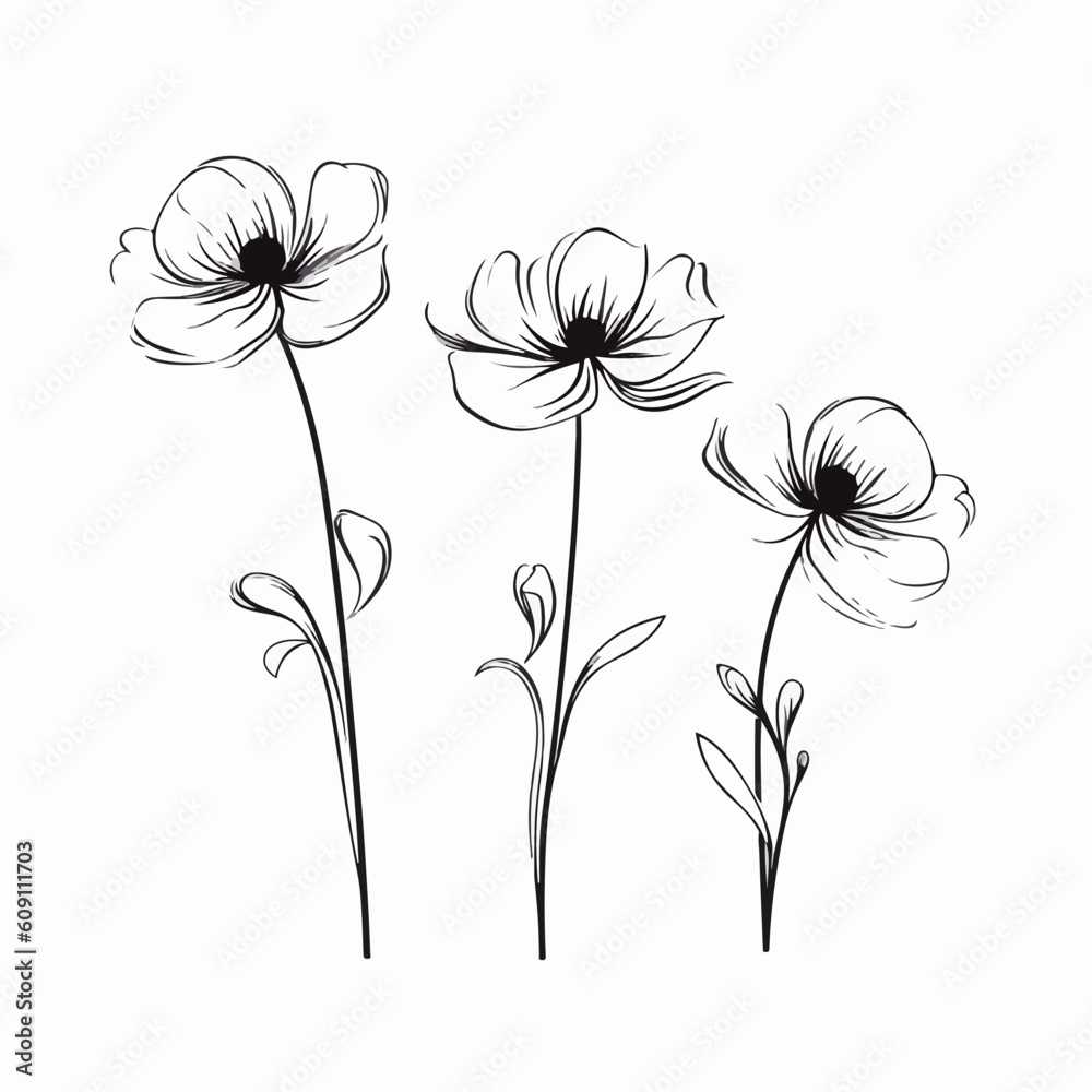 Captivating anemone illustrations in vector format, suitable for web design.