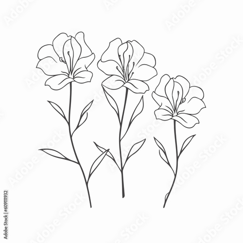 Delicate azalea illustrations, symbolizing grace and femininity.