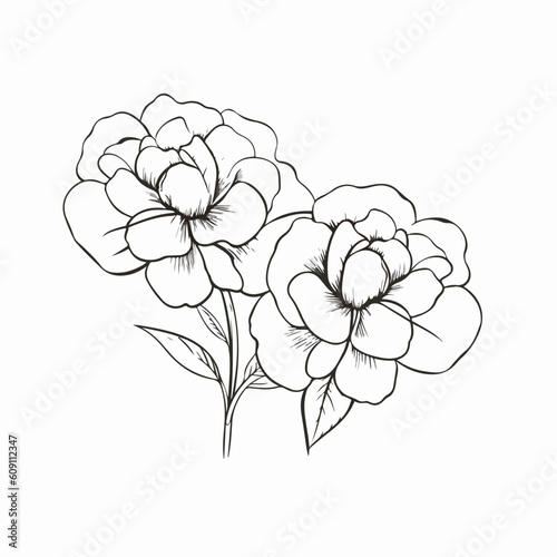 Contemporary camellia illustrations in outline style  adding a modern touch to any design.