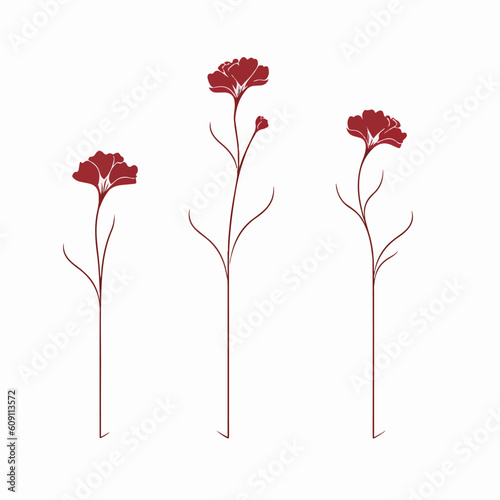 Adaptable carnation illustrations in various positions, perfect for educational materials.