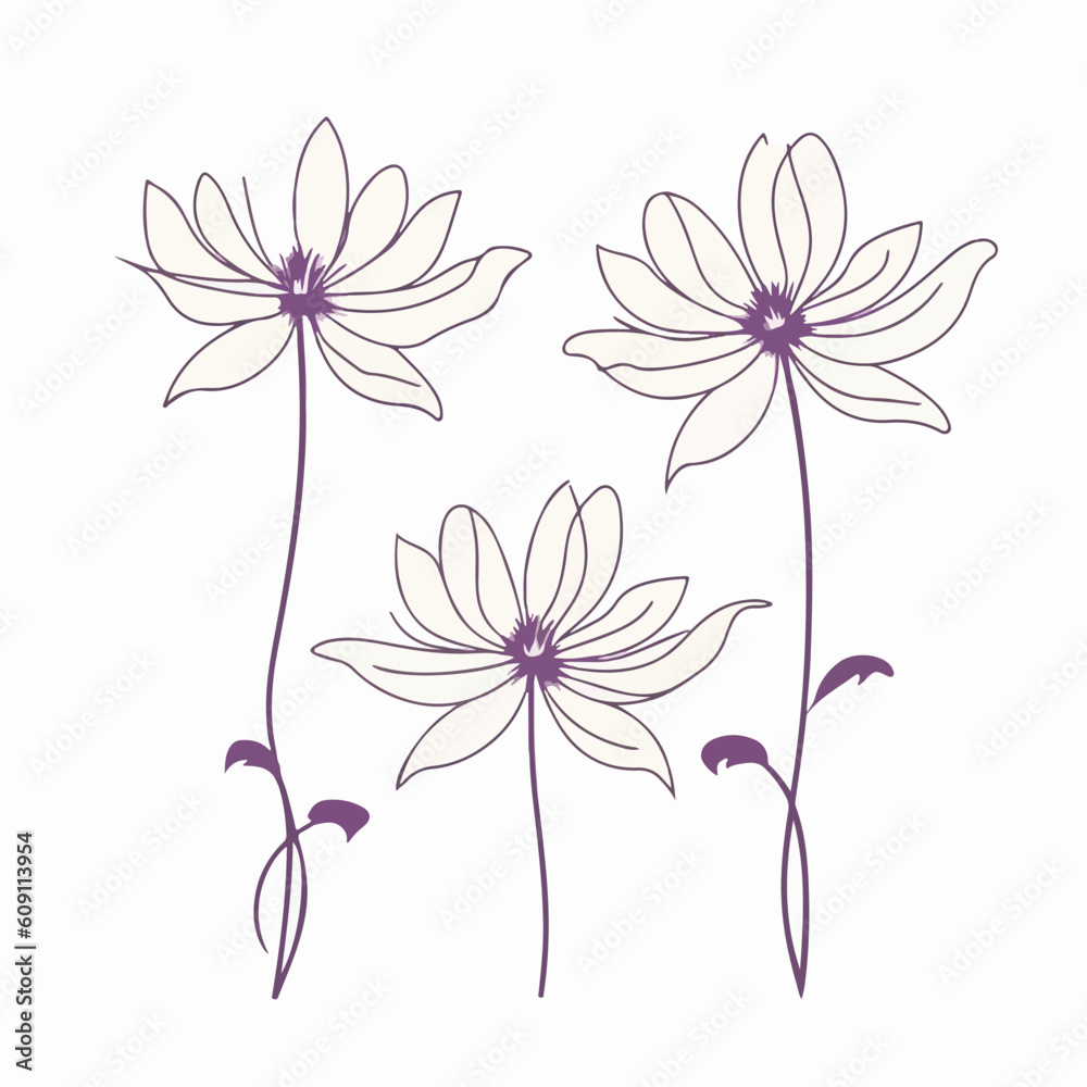 Obraz premium Stunning vector illustration of clematis.