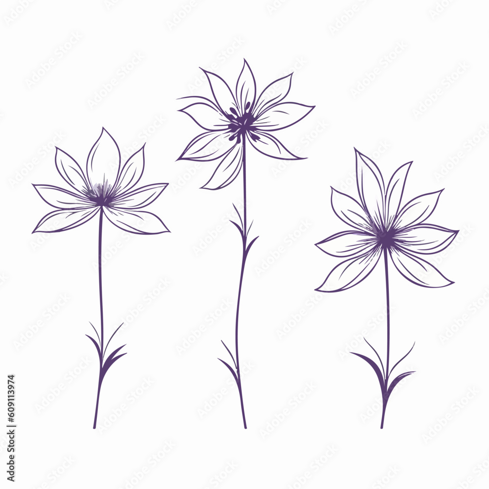 Fototapeta premium Modern clematis artwork with precise vector lines.