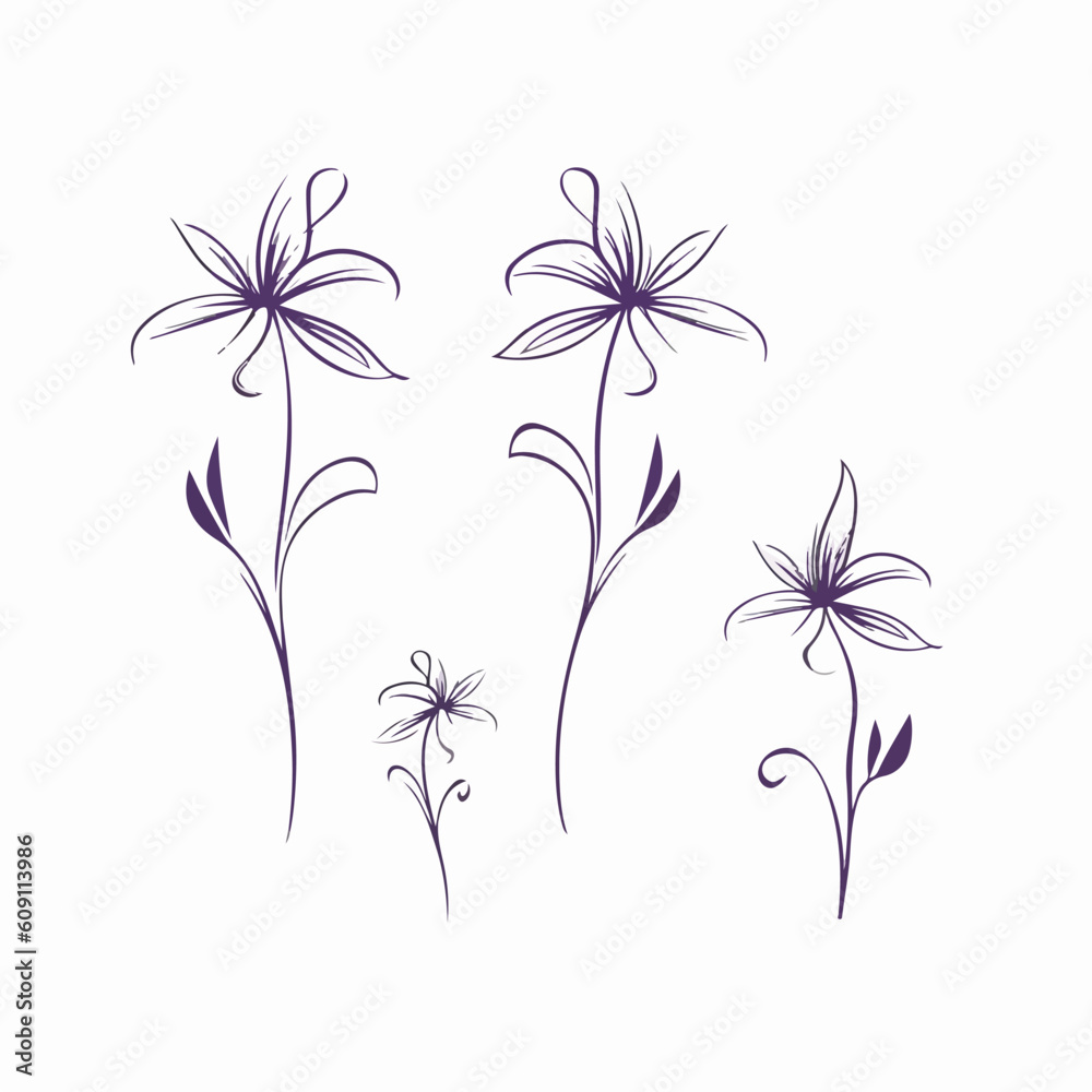 Fototapeta premium Intricate clematis vector artwork for creative projects.