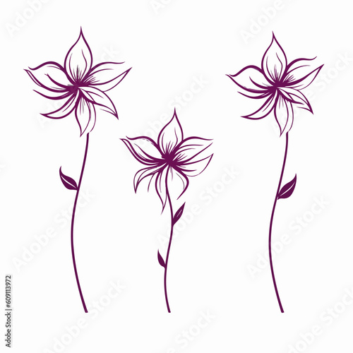 Eye-catching clematis illustration with intricate linework.