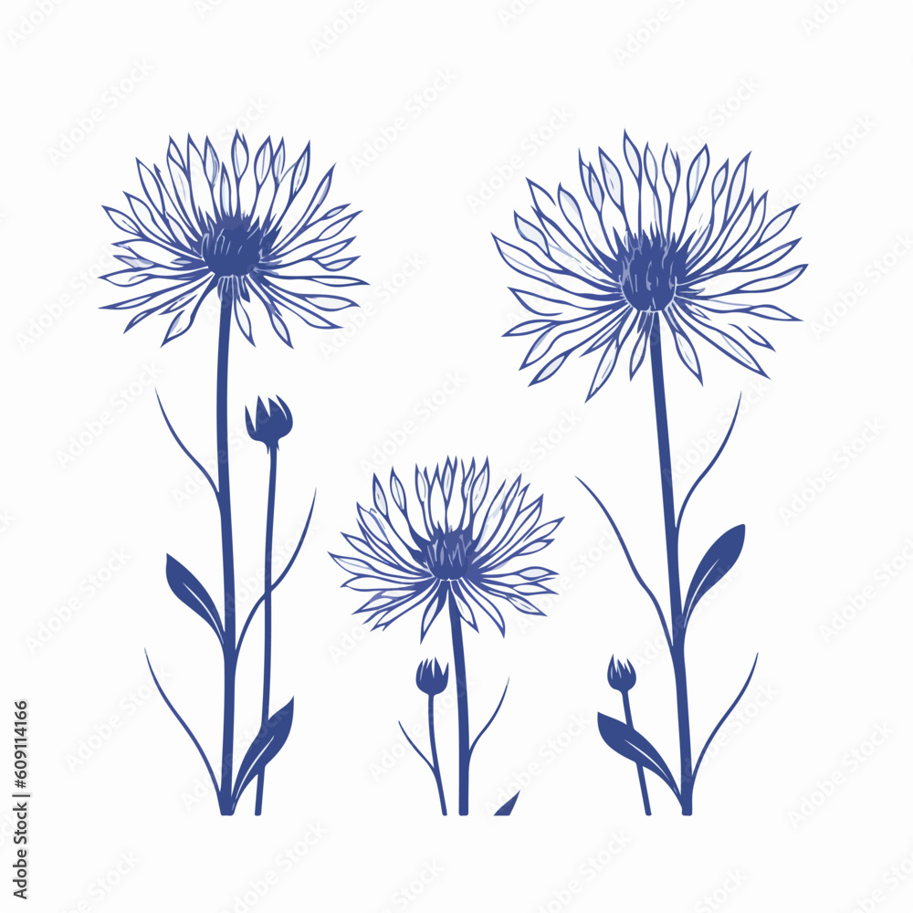 Obraz premium Modern cornflower artwork with precise vector lines.