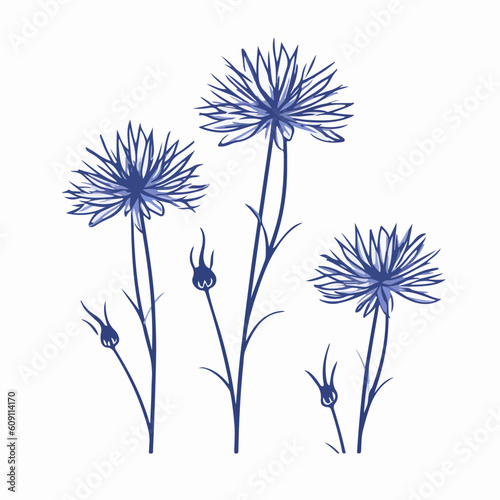 Intricate cornflower vector artwork for creative projects.