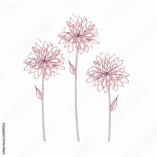 Whimsical dahlia illustration with a hand-drawn feel.