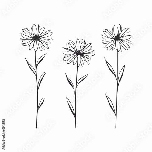 Striking daisy outline illustration with clean strokes.