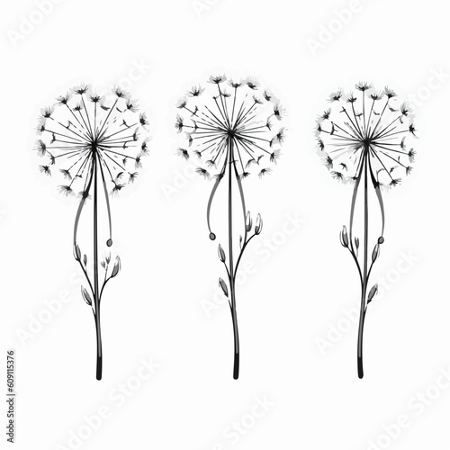 Minimalistic dandelion outline illustration.