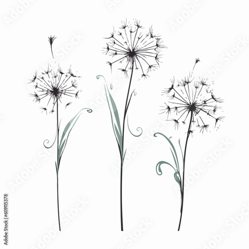 Beautifully crafted dandelion vector artwork.