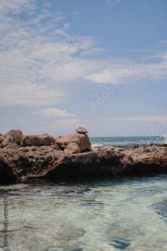Rocas en el mar