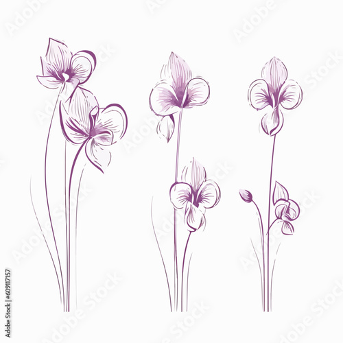 Exquisite orchid vector artwork with precise lines.