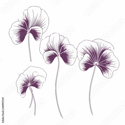 Striking pansy vector illustration suitable for print.