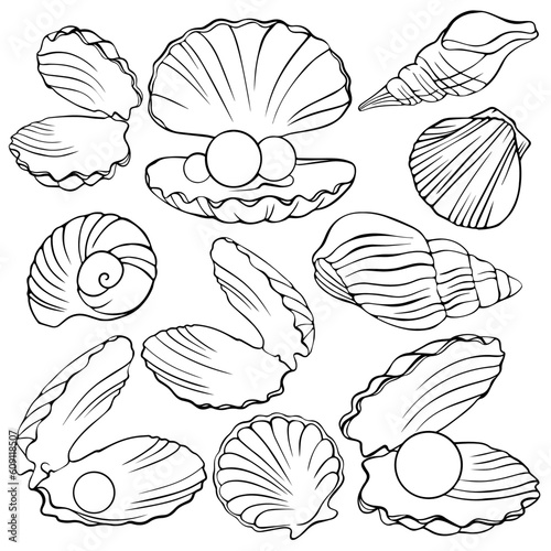 painted shells