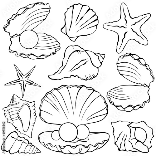 painted shells, set