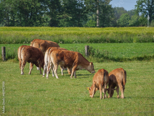 Weseke im westliche Münsterland