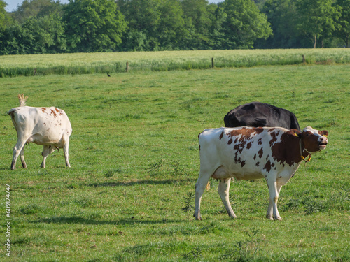 Weseke im westliche M  nsterland