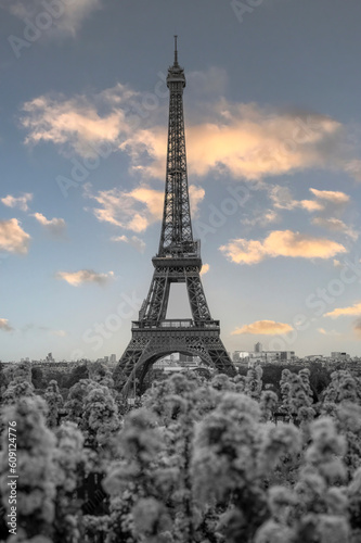 Fototapeta Naklejka Na Ścianę i Meble -  Paris - Eiffel Tower