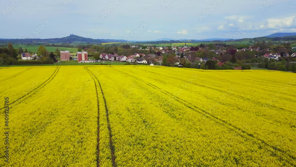Overflight bright yellow rape field in Czech. Fantastic aerial view flight drone Overflight bright yellow rape field in Czech. Fantastic aerial view flight drone