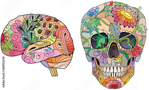 Zentangle stylized brain and scull. Hand drawn decorative vector illustration