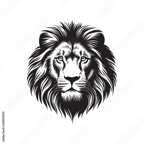 Lion head sketch hand drawn vector, engraving style. Wild animals Vector illustration © DNC