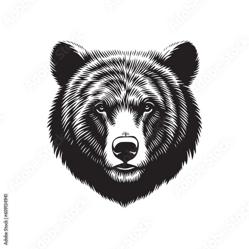 Bear head sketch hand drawn vector, engraving style. Wild animals Vector illustration
