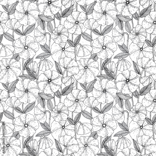 Botanical hand drawn seamless pattern made of ink pen poppy flowers with hatches. Simple minimalistic line art floral background in vintage style on white.