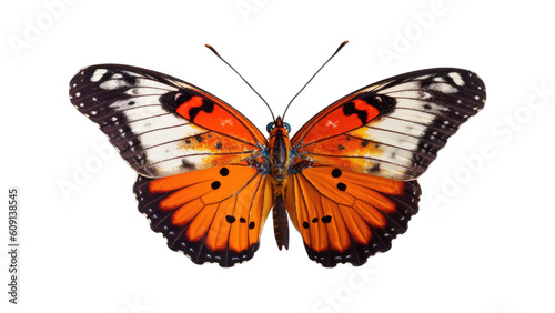 Butterfly isolated on transparent background created with generative AI technology © DigitalParadise
