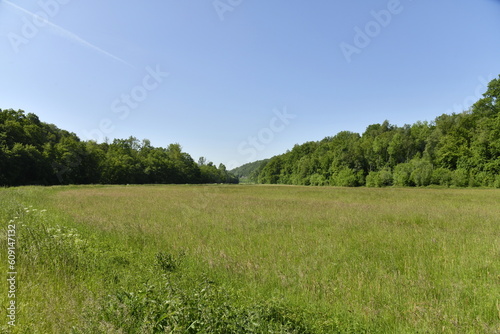 Grande prairie au printemps, au fond de la vallée pittoresque de la Sambre à Thuin 