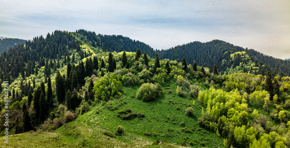 landscape with mountains and sky