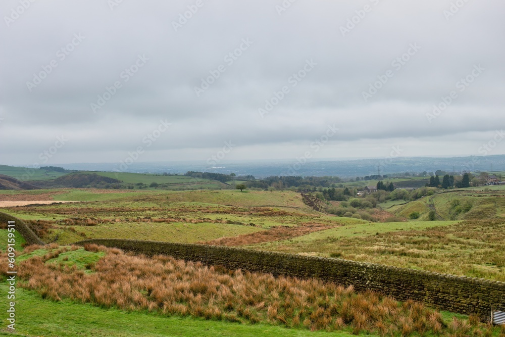 Naklejka premium wall and fields