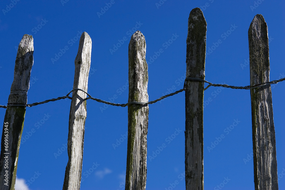 Wooden picket fence, dovedale, peak district national park, uk Wooden picket fence, dovedale, peak district national park, uk