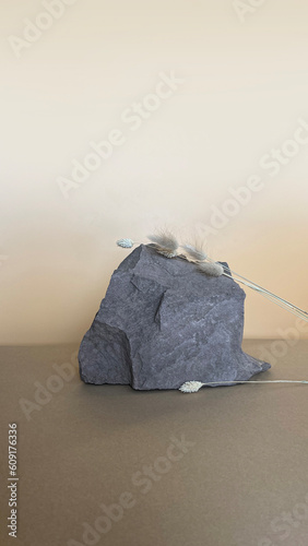 Background for cosmetics of natural beige color. Stone podium. Front view.