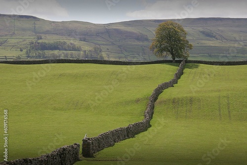 This image was captured near Askrigg in Wensleydale, showing the dry stone walls characteristic of the area. photo