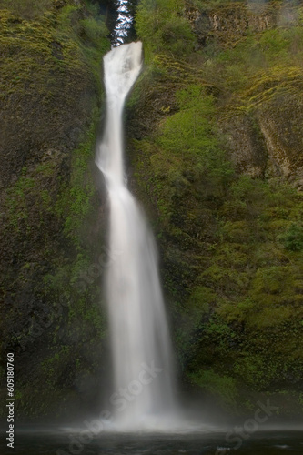 Fototapeta Naklejka Na Ścianę i Meble -  Horetail Falls off of the Columbia River Scenic Highway green moss and flowing water.