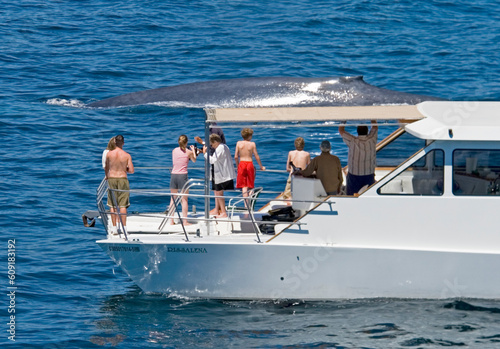 Whale Watching boat in Mexico with Humpback Whale surfacing near boat