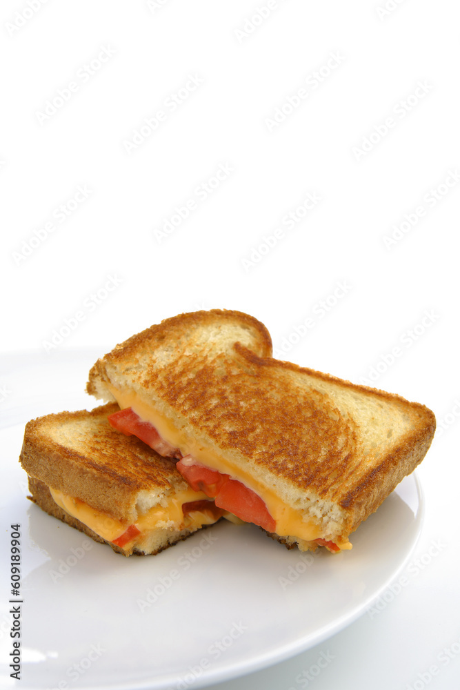 Grilled cheese and tomatoe sandwich cut in half and on a white plate and white background Grilled cheese and tomatoe sandwich cut in half and on a white plate and white background