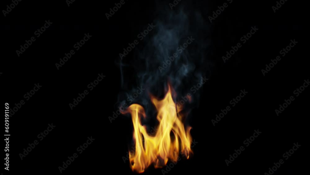 Small bright campfire with bluish smoke - 4K Pro Res isolated on black background Small bright campfire with bluish smoke - 4K Pro Res isolated on black background