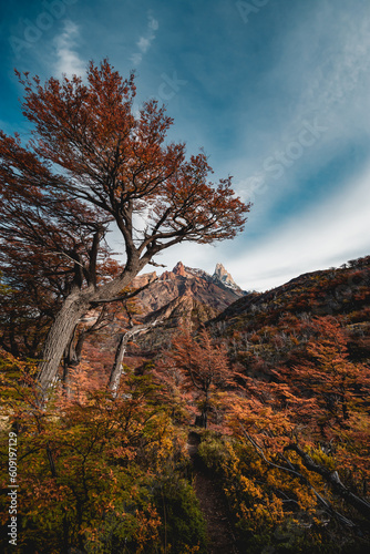 El Chalten, Argentine Patagonia