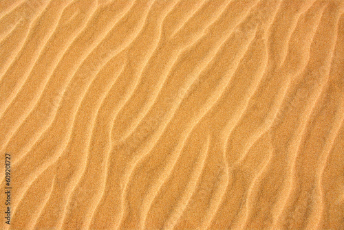 Background of a beautiful pattern on a yellow sand © Designpics