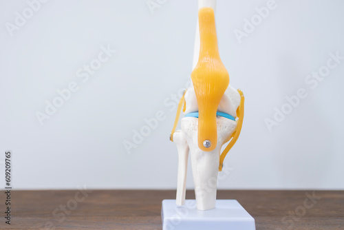 Isolated anatomy knee model on white space background.Orthopedic surgery education about knee pain in patient with ligament injury.White skeleton and blue meniscus on wood table.Sport clinic. photo