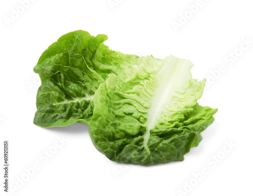 Fresh green leaves of romaine lettuce isolated on white