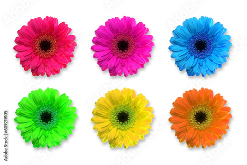 some colorful flowers and a white background