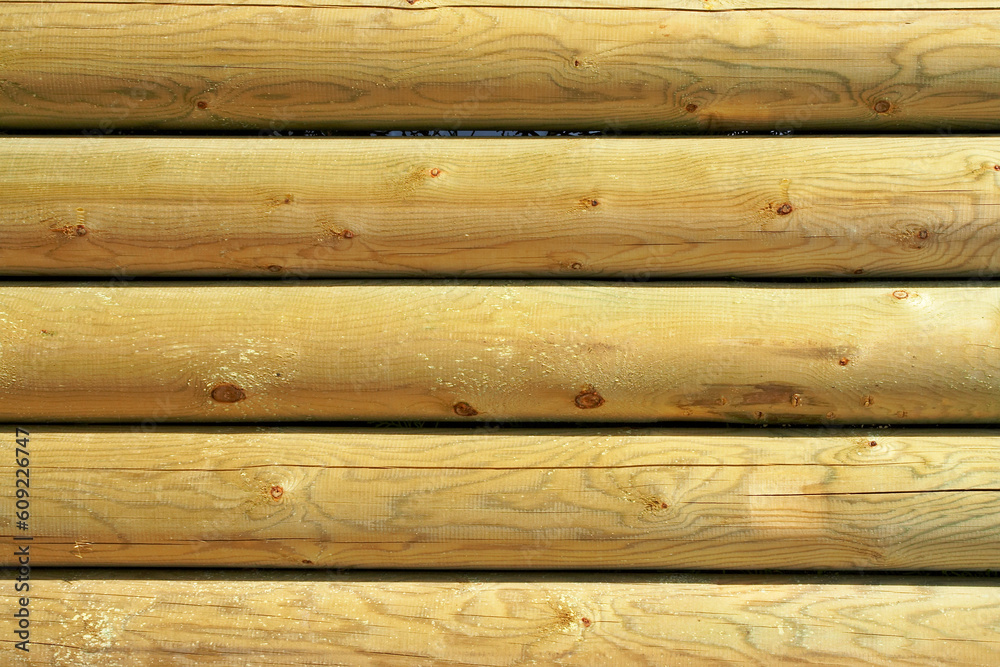 Obraz premium Closeup details of the wood wall
