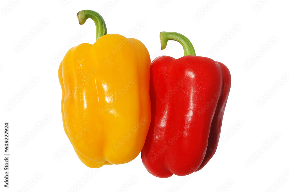 Red and yellow pepper on white background with clipping path Red and yellow pepper on white background with clipping path