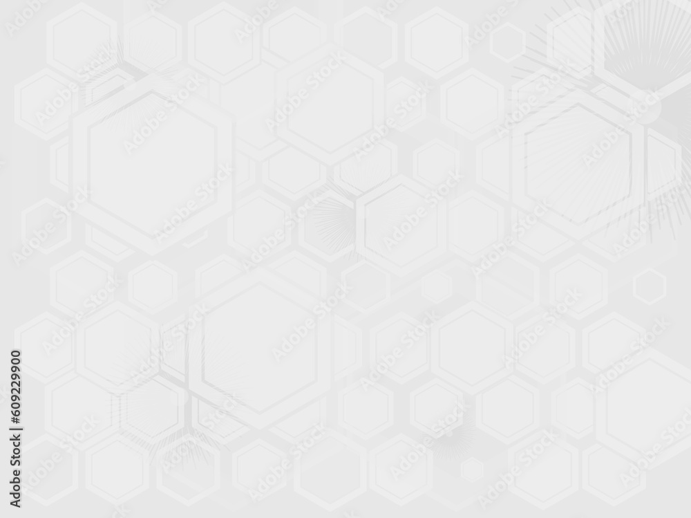 AN abstract background with the use of grey hexagone