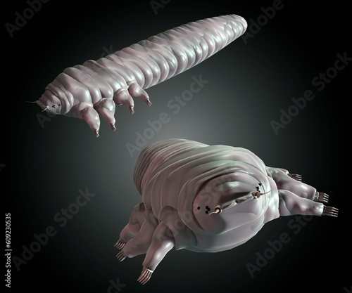 Demodex folliculorum mite is a type of parasite that lives on humans. tey are among the smallest of arthropods 3d rendering