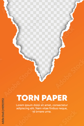 Vector torn paper triangle background with transparency place for your design  torn paper edges